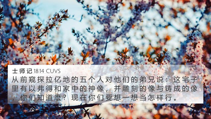 士 师 记 18:14 CUVS Bible Verse Image