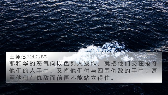 士 师 记 2:14 CUVS Bible Verse Image