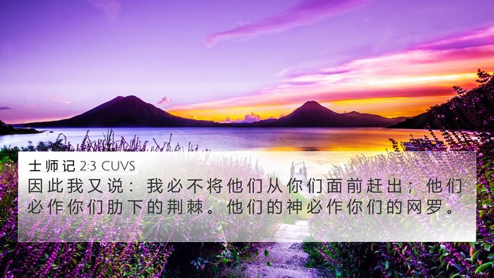 士 师 记 2:3 CUVS Bible Verse Image