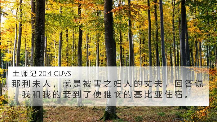 士 师 记 20:4 CUVS 4K Wallpaper - 那 利 未 人 ， 就 是 被 害 之 妇 人 - 4K Wallpaper Bible Verse