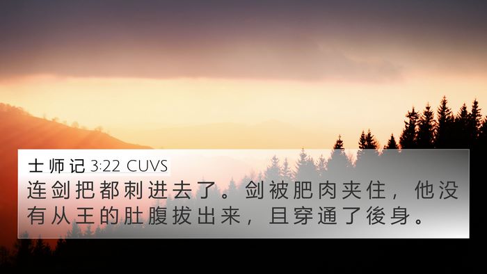 士 师 记 3:22 CUVS 4K Wallpaper - 连 剑 把 都 刺 进 去 了 。 剑 被 肥 - 4K Wallpaper Bible Verse