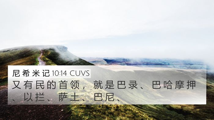 尼 希 米 记 10:14 CUVS Bible Verse Image