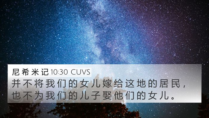 尼 希 米 记 10:30 CUVS Bible Verse Image