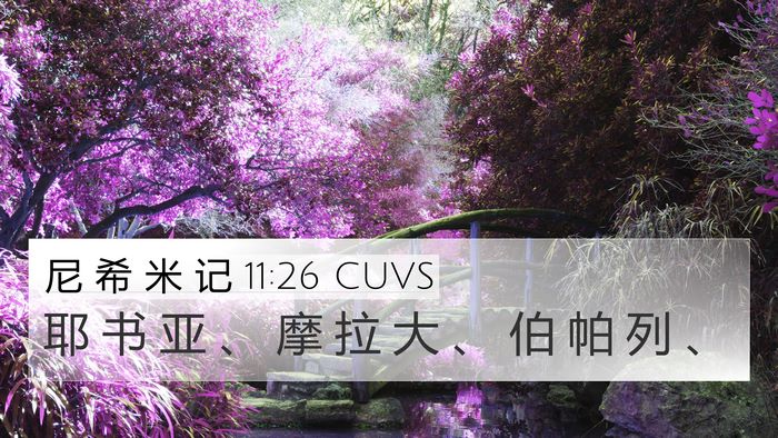 尼 希 米 记 11:26 CUVS Bible Verse Image