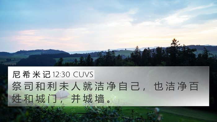 尼 希 米 记 12:30 CUVS Bible Verse Image