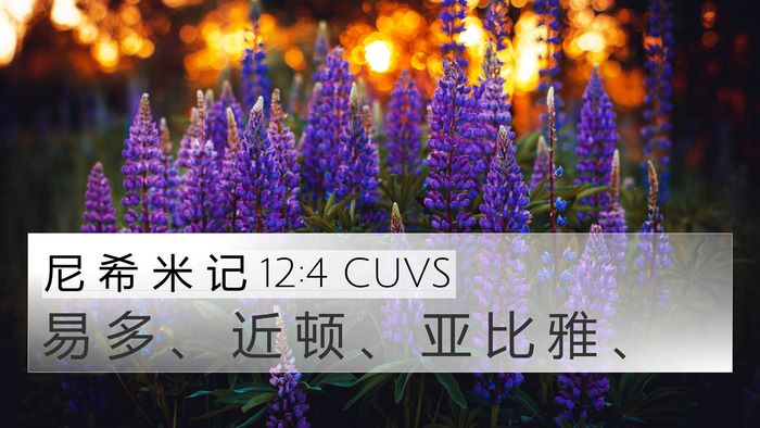 尼 希 米 记 12:4 CUVS Bible Verse Image
