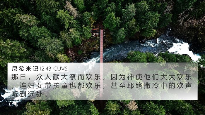 尼 希 米 记 12:43 CUVS Bible Verse Image
