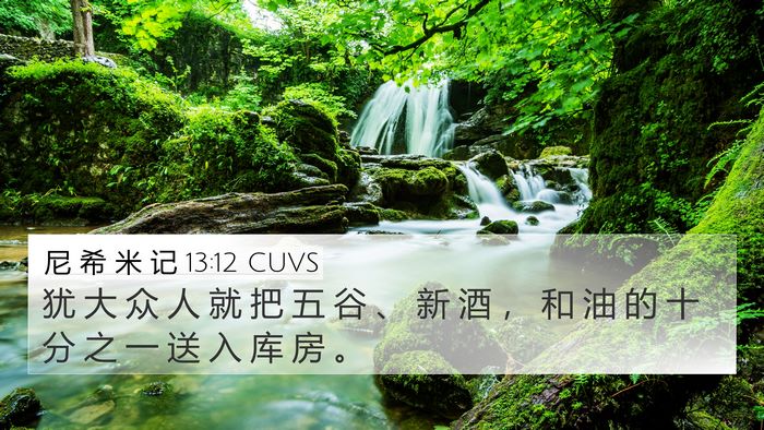 尼 希 米 记 13:12 CUVS Bible Verse Image