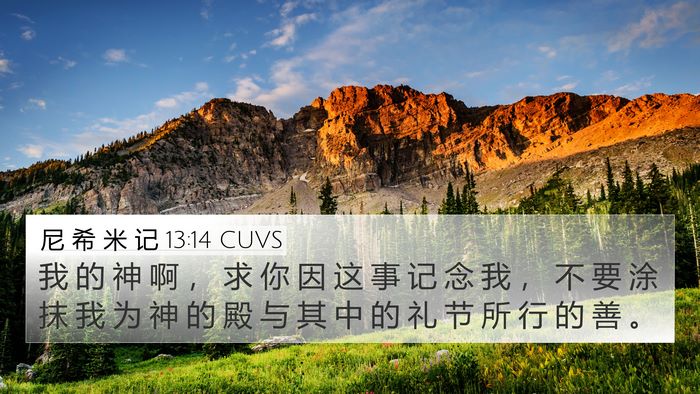 尼 希 米 记 13:14 CUVS Bible Verse Image