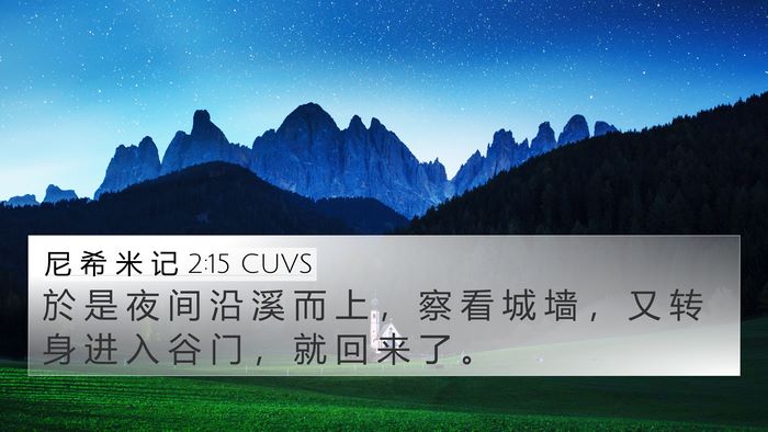 尼 希 米 记 2:15 CUVS Bible Verse Image