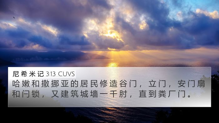 尼 希 米 记 3:13 CUVS Bible Verse Image
