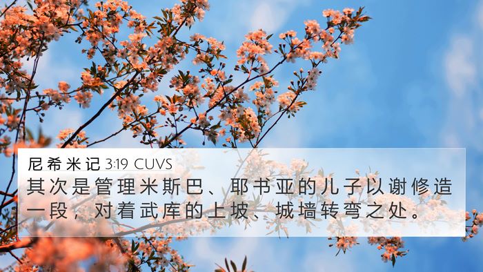 尼 希 米 记 3:19 CUVS Bible Verse Image