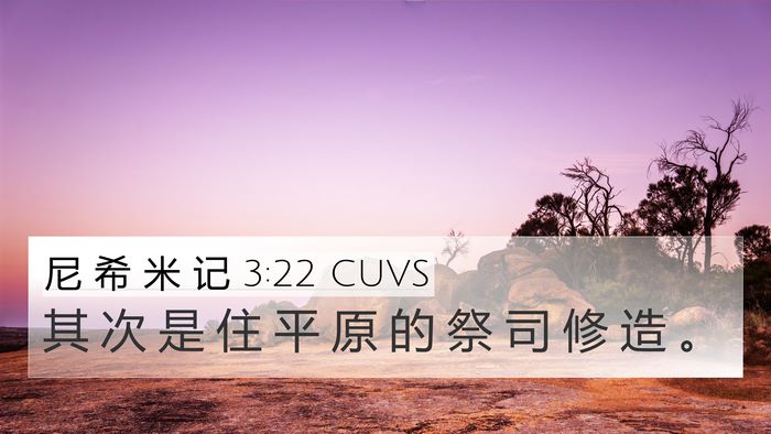 尼 希 米 记 3:22 CUVS 4K Wallpaper - 其 次 是 住 平 原 的 祭 司 修 造 - 4K Wallpaper Bible Verse