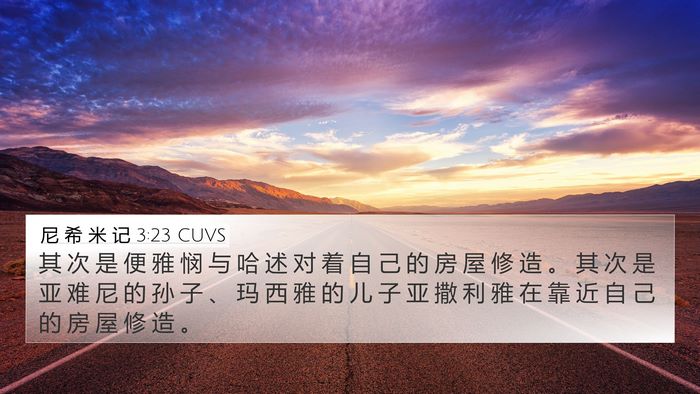 尼 希 米 记 3:23 CUVS Bible Verse Image