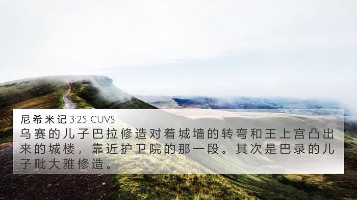 尼 希 米 记 3:25 CUVS Bible Verse Image