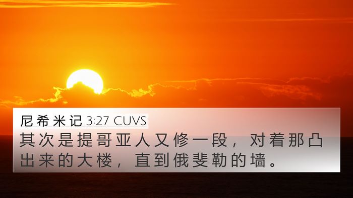 尼 希 米 记 3:27 CUVS Bible Verse Image