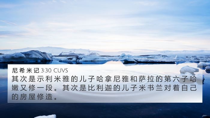 尼 希 米 记 3:30 CUVS Bible Verse Image