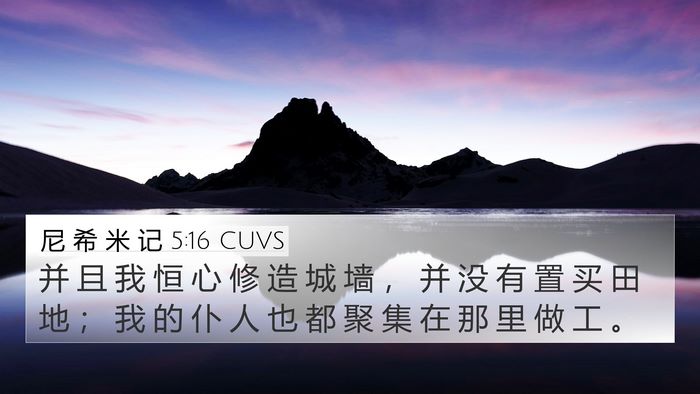 尼 希 米 记 5:16 CUVS 4K Wallpaper - 并 且 我 恒 心 修 造 城 墙 ， 并 没 - 4K Wallpaper Bible Verse
