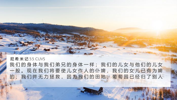 尼 希 米 记 5:5 CUVS Bible Verse Image