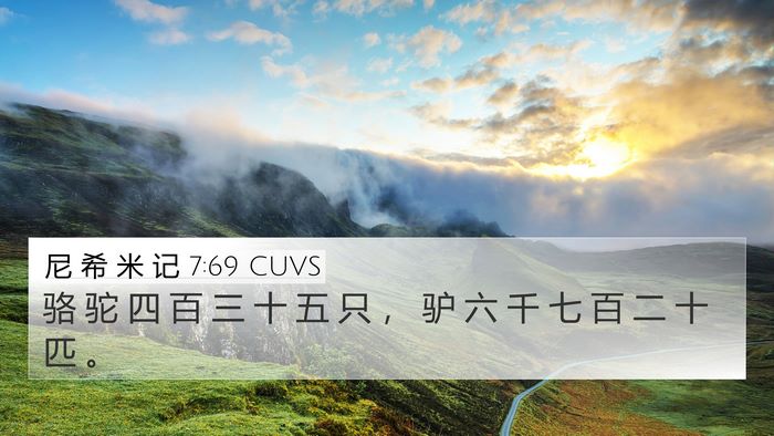 尼 希 米 记 7:69 CUVS 4K Wallpaper - 骆 驼 四 百 三 十 五 只 ， 驴 六 千 - 4K Wallpaper Bible Verse