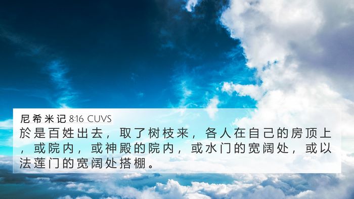 尼 希 米 记 8:16 CUVS Bible Verse Image