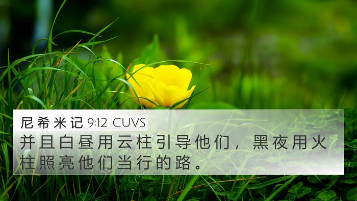 尼 希 米 记 9:12 CUVS Bible Verse Image