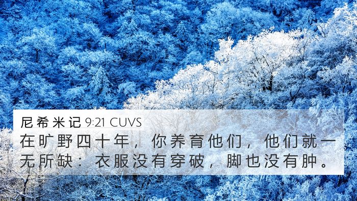 尼 希 米 记 9:21 CUVS Bible Verse Image