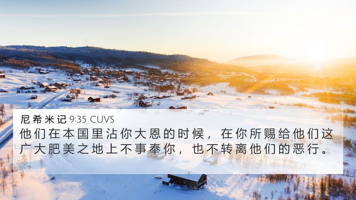 尼 希 米 记 9:35 CUVS Bible Verse Image