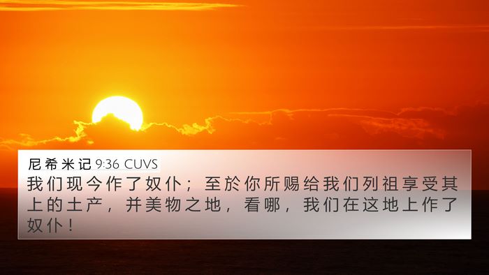 尼 希 米 记 9:36 CUVS Bible Verse Image