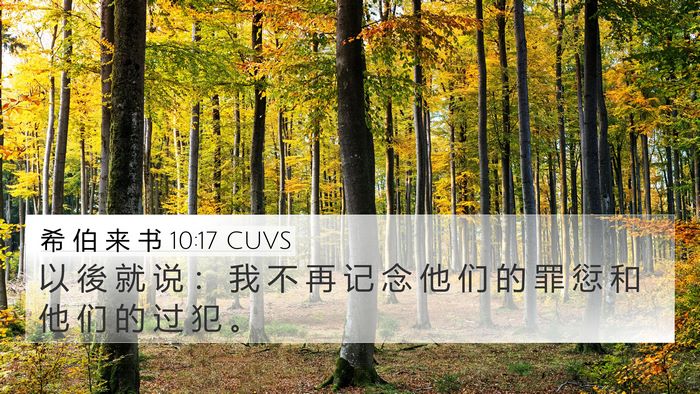 希 伯 来 书 10:17 CUVS Bible Verse Image