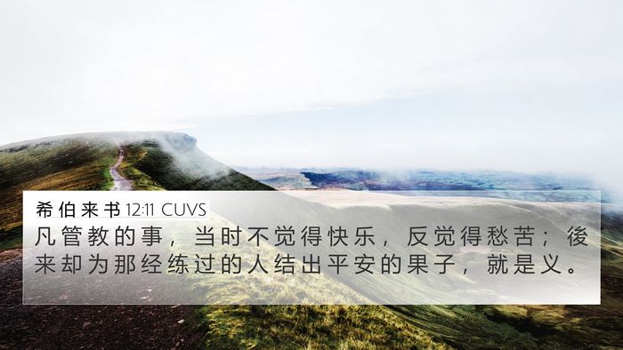 希 伯 来 书 12:11 CUVS Bible Verse Image