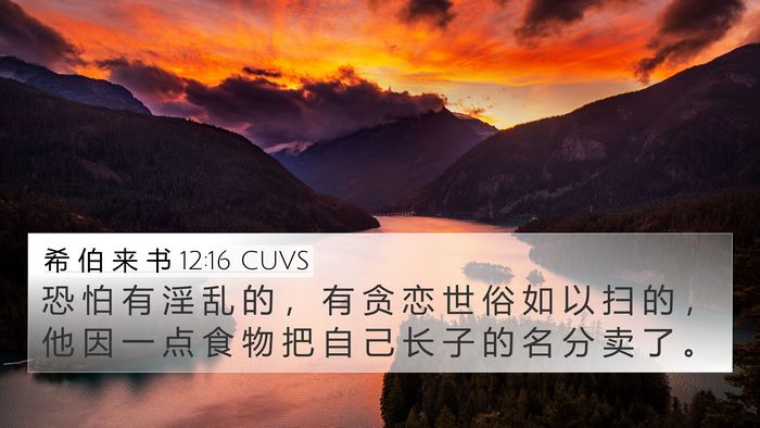 希 伯 来 书 12:16 CUVS Bible Verse Image