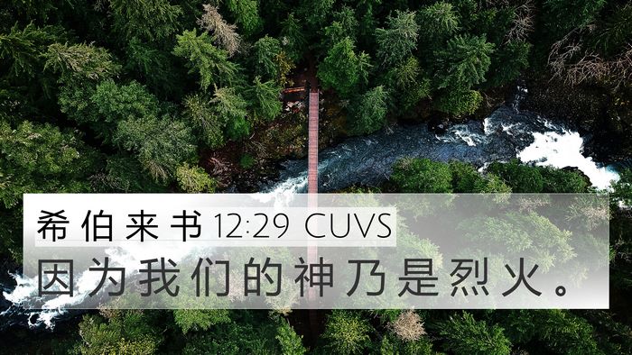 希 伯 来 书 12:29 CUVS Bible Verse Image