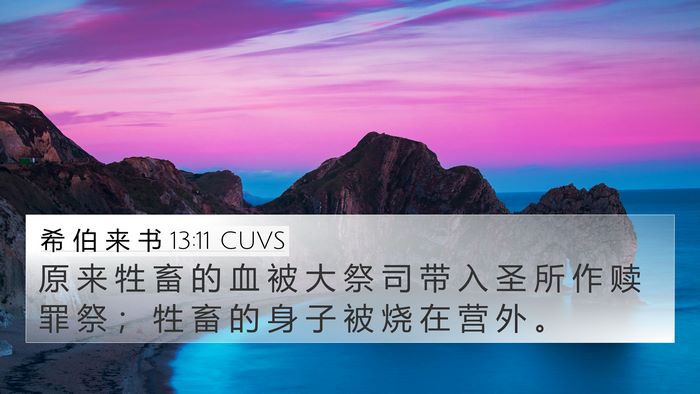 希 伯 来 书 13:11 CUVS Bible Verse Image
