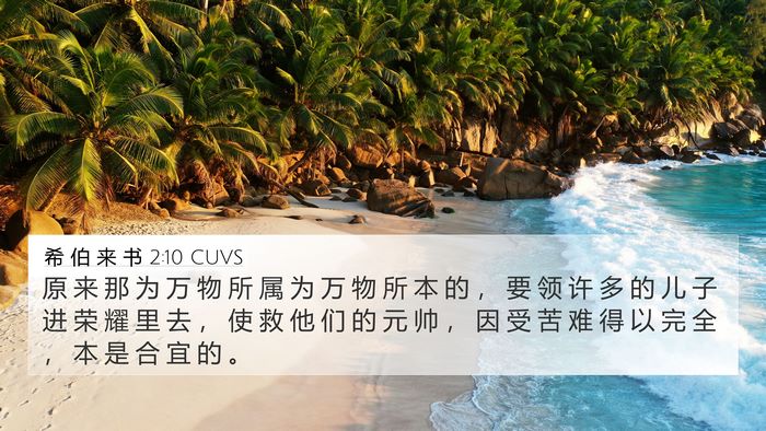 希 伯 来 书 2:10 CUVS Bible Verse Image