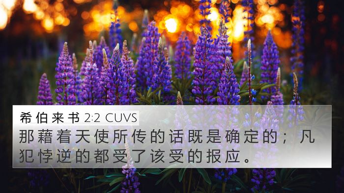 希 伯 来 书 2:2 CUVS Bible Verse Image