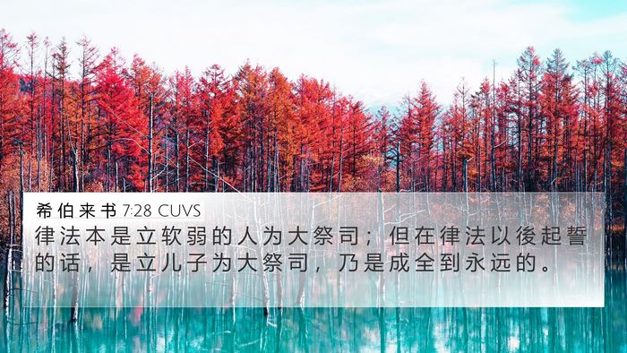 希 伯 来 书 7:28 CUVS Bible Verse Image