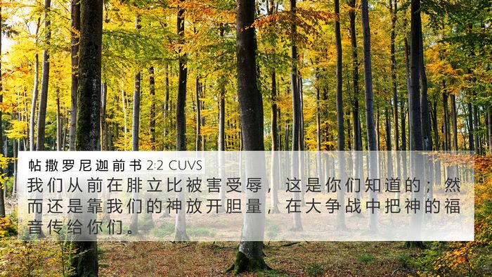 帖 撒 罗 尼 迦 前 书 2:2 CUVS Bible Verse Image