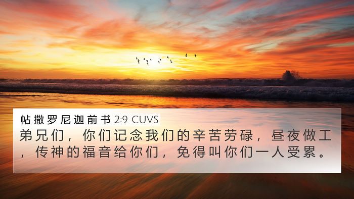 帖 撒 罗 尼 迦 前 书 2:9 CUVS Bible Verse Image