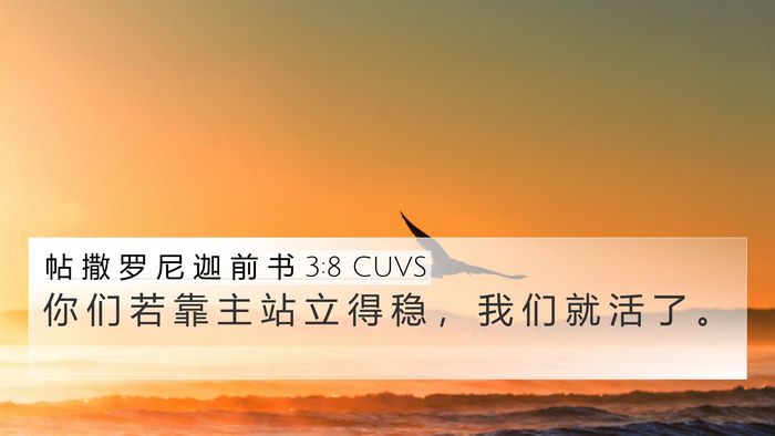 帖 撒 罗 尼 迦 前 书 3:8 CUVS Bible Verse Image