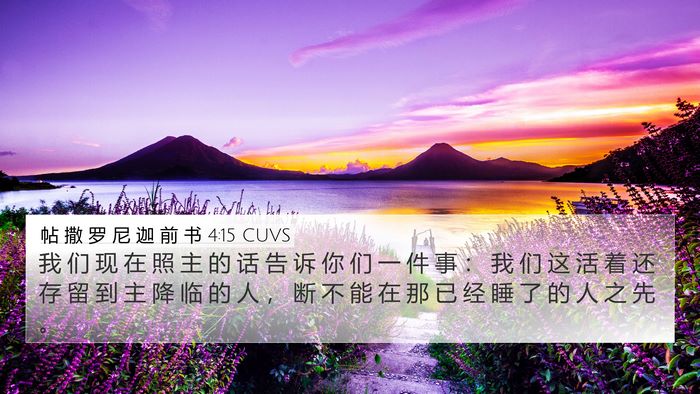 帖 撒 罗 尼 迦 前 书 4:15 CUVS Bible Verse Image