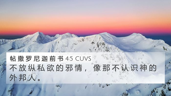 帖 撒 罗 尼 迦 前 书 4:5 CUVS Bible Verse Image