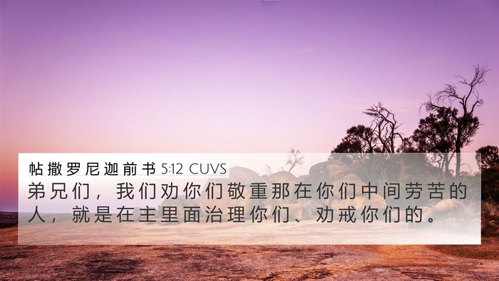 帖 撒 罗 尼 迦 前 书 5:12 CUVS Bible Verse Image