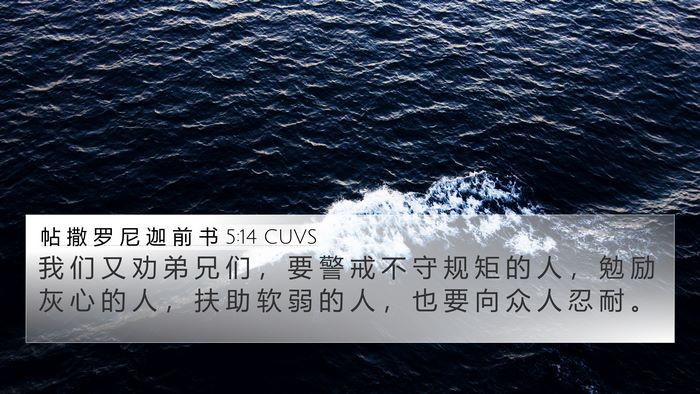 帖 撒 罗 尼 迦 前 书 5:14 CUVS Bible Verse Image