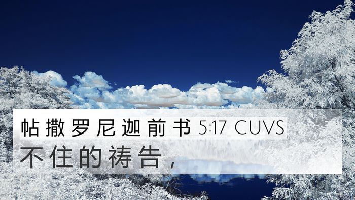 帖 撒 罗 尼 迦 前 书 5:17 CUVS Bible Verse Image