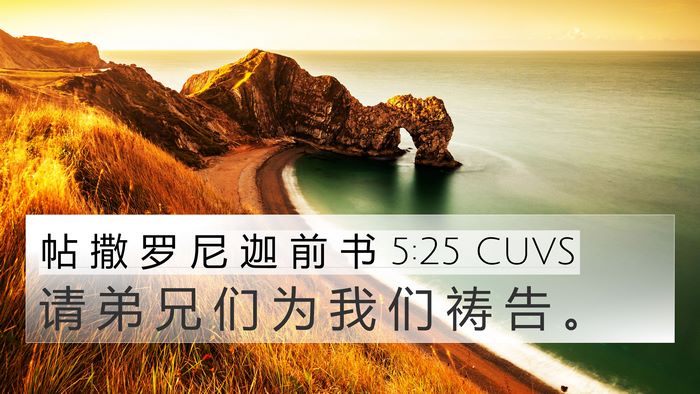 帖 撒 罗 尼 迦 前 书 5:25 CUVS Bible Verse Image