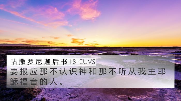 帖 撒 罗 尼 迦 后 书 1:8 CUVS Bible Verse Image