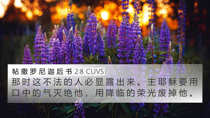 帖 撒 罗 尼 迦 后 书 2:8 CUVS Bible Verse Image