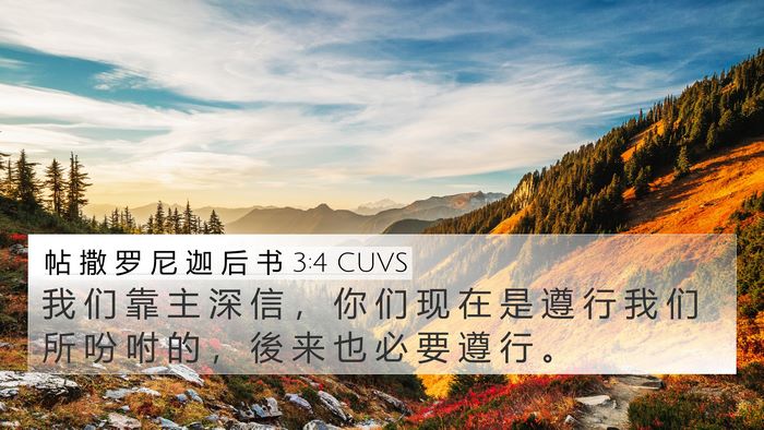 帖 撒 罗 尼 迦 后 书 3:4 CUVS Bible Verse Image