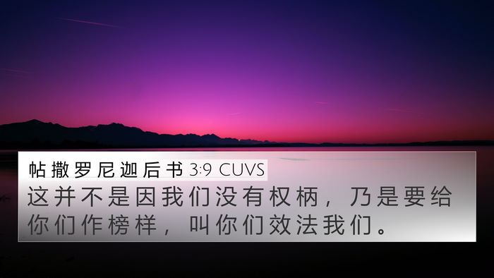 帖 撒 罗 尼 迦 后 书 3:9 CUVS Bible Verse Image